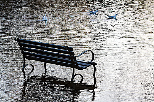 公园长椅,站立,一半,淹没,洪水