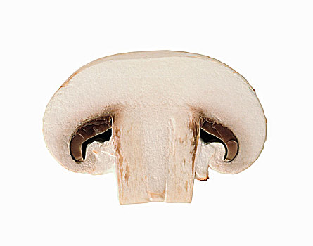 白蘑菇,切片,白色背景