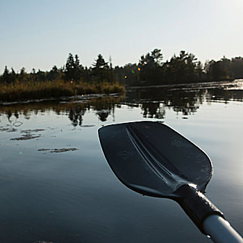 特写,桨,湖,木头,安大略省,加拿大