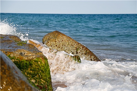 石头,苔藓,海浪