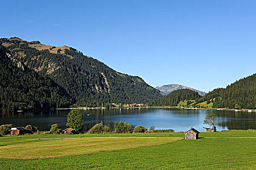 湖,提洛尔,奥地利,欧洲