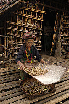 55岁,女人,部落,蔬菜,种子,制作,肥皂,户外,房子,乡村,南方,下巴,缅甸