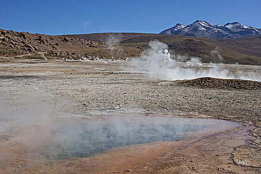 间歇泉,蒸汽,佩特罗,阿塔卡马沙漠,安托法加斯塔大区,智利,南美