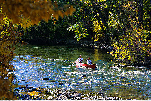 伴侣,独木舟,河,艾伯塔省,加拿大
