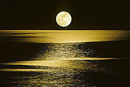 月亮,上方,海洋,夜晚