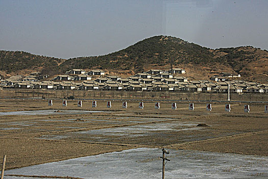 雪地,乡村,农田