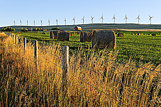 干草包,农场,犁垄,风,农作物,发电机,涡轮,背景,艾伯塔省,加拿大