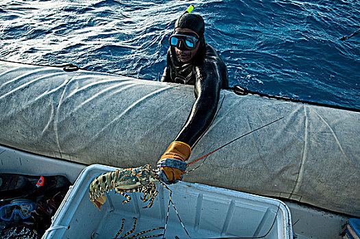新加勒多尼亚,捕鱼,海岸,大螯虾