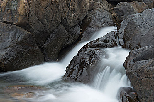瀑布,河,分开,格罗莫讷国家公园,纽芬兰,拉布拉多犬,加拿大