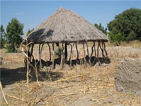 非洲,小屋