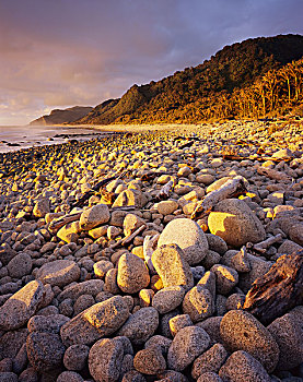 海岸线,卡胡朗吉国家公园,新西兰