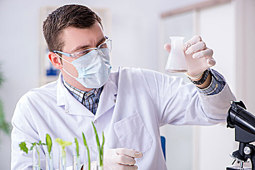 男性,工作,实验室,植物