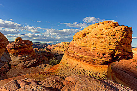 层次,沙岩构造,高处,弗米利恩崖,荒野,亚利桑那,美国