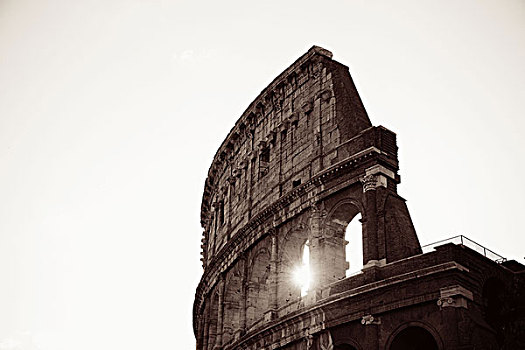 罗马角斗场,象征,建筑,罗马,意大利,单色调