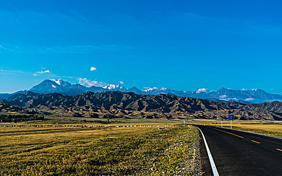 新疆草原公路