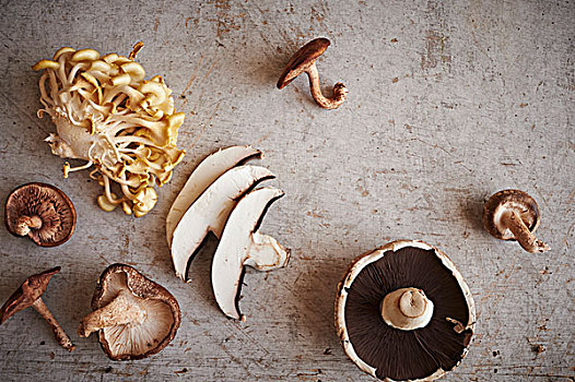 种类,蘑菇,木质,表面,牡蛎,香菇