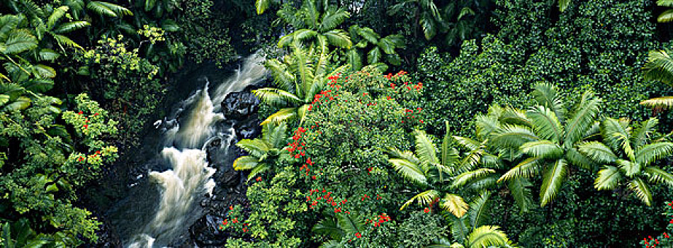 夏威夷,哈玛库亚海岸,风景,漂亮,瀑布,大幅,尺寸