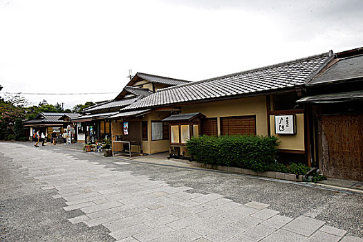 日本,京都,岚山