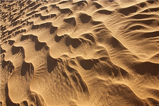 波纹,沙漠,沙子,图案,白天