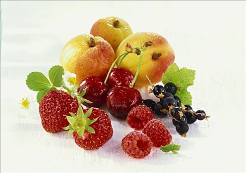 水果静物,浆果,樱桃,杏子