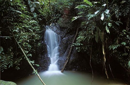 瀑布,国家公园,委内瑞拉