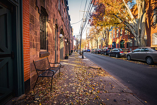 美国费城城市街道,秋天