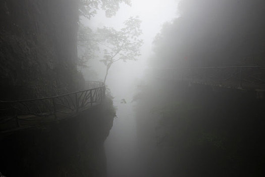 徒步旅行,雾,山,国家公园,永定,张家界,中国,亚洲