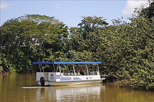 船,河,自然保护区,哥斯达黎加,中美洲
