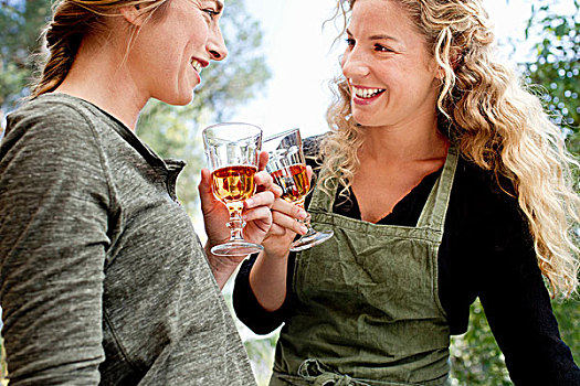 两个女人,祝酒,葡萄酒,玻璃杯