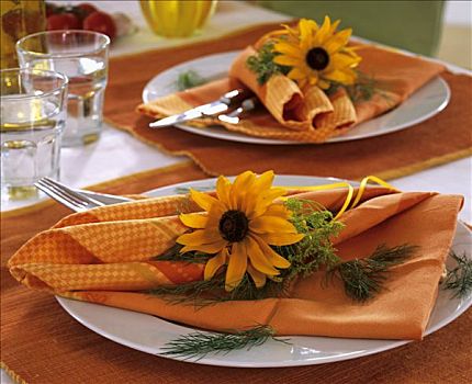 黄雏菊属植物,时萝,餐巾装饰