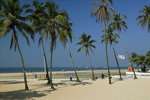 科尔瓦海滩,果阿,印度