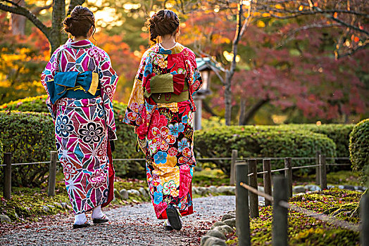 后视图,两个女人,穿,彩色,传统,日本,和服,走,小路,公园