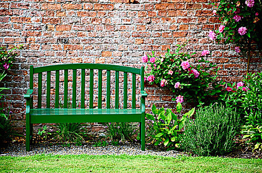 绿色公园,长椅,砖墙,围绕,粉色,玫瑰,植物