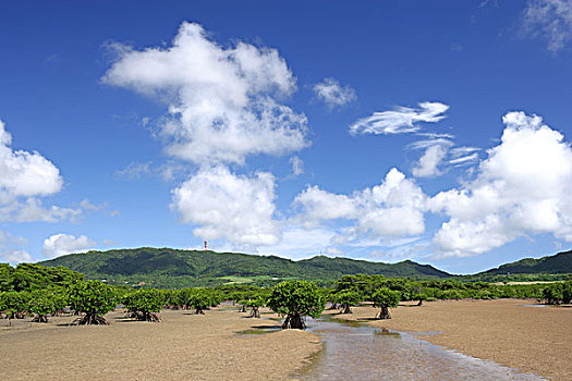 石垣岛,城市,冲绳