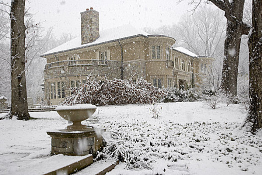 宅邸,冬天,暴风雪