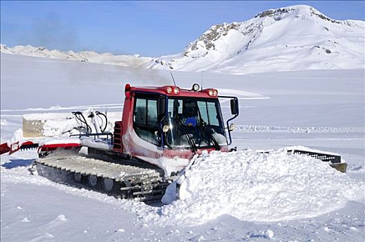 扫雪机,动作,冰河,瑞士