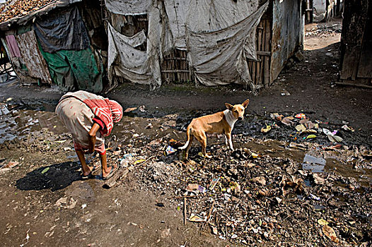 女人,狗,垃圾,贫民窟,地区,加尔各答,西孟加拉,印度,亚洲