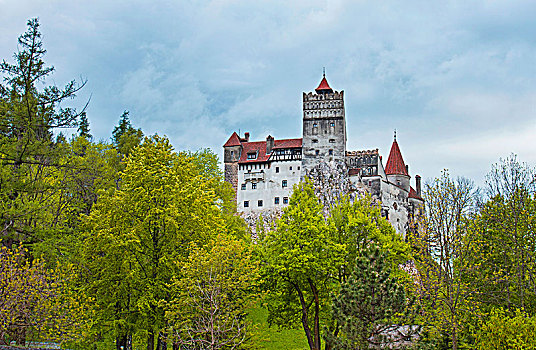 麸,城堡,布拉索夫,喀尔巴阡山脉地区,特兰西瓦尼亚,罗马尼亚,欧洲