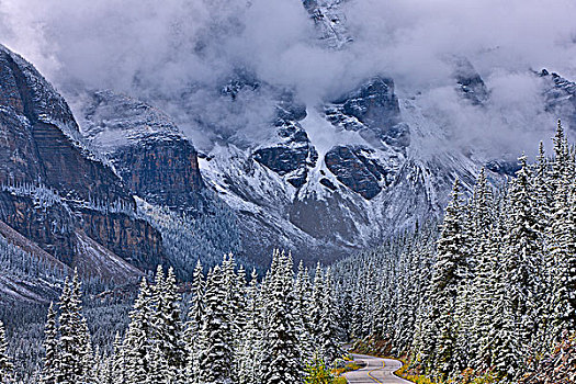 树林,十峰谷,冰碛湖,班芙国家公园,艾伯塔省,加拿大