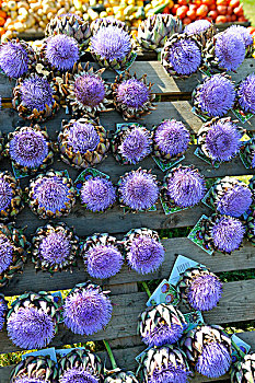 洋蓟,紫花,背景,市场