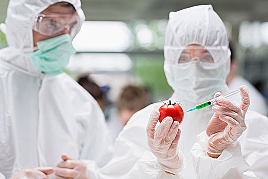 学生,注射,西红柿,绿色,液体,实验室,看,戴着