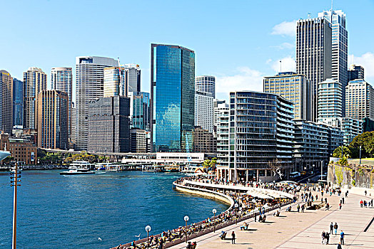 澳大利亚,悉尼,风景,湾,摩天大楼,房子