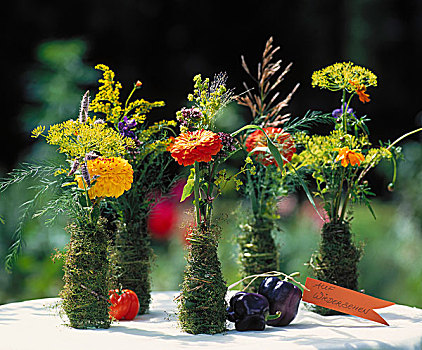 百日菊,花瓶,苔藓,标签