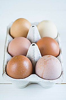 多样,褐色,蛋,鸡蛋格
