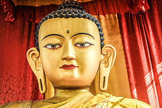 头部,佛像,寺庙,加德满都,喜马拉雅山,区域,尼泊尔,亚洲