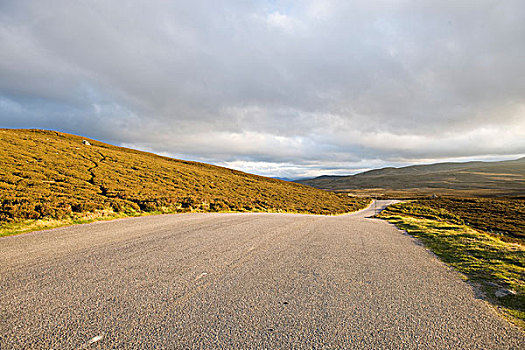 道路,苏格兰,高地,靠近,阿伯丁,英国,欧洲