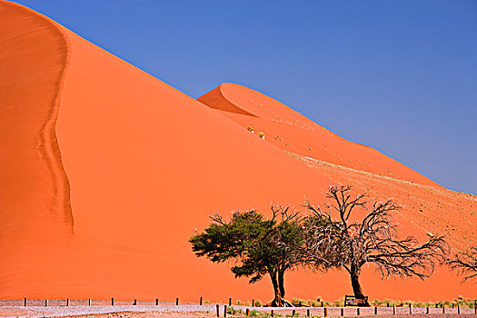 沙丘,纳米布沙漠,索苏维来地区,纳米比亚