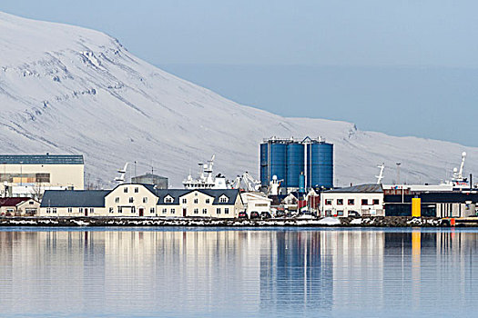 冰岛,俯视,商务区,年轻,画廊
