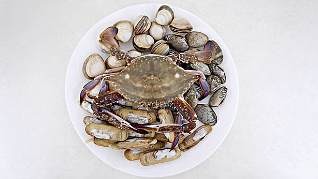 食材,海鲜拼盘,梭子蟹,贝壳