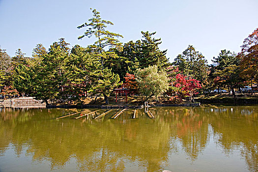 日式庭园,东大寺,奈良,日本